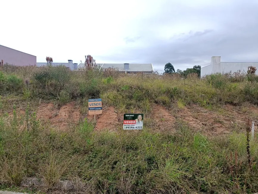 Terreno / Lote à venda, 300m2 em Aliança, Santa Cruz Do Sul - RS - imagem 2 Foto 2 de Terreno / Lote à venda, 300m2 em Aliança, Santa Cruz Do Sul - RS