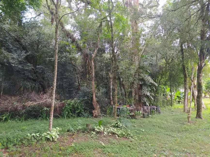 Foto 9 de Chácara com 1 quarto à venda em Linha Santa Cruz, Santa Cruz Do Sul - RS