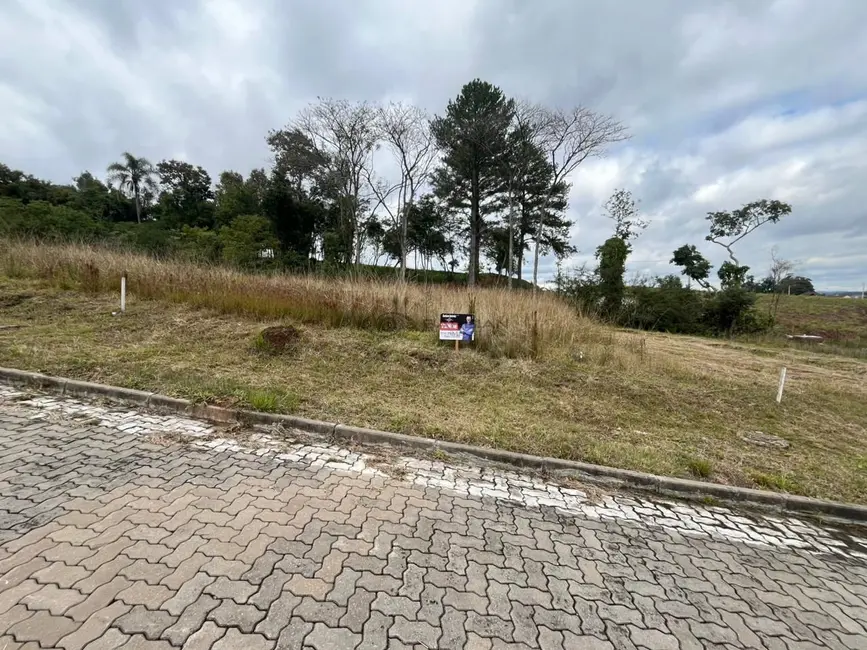 Foto 1 de Terreno / Lote à venda, 313m2 em Renascença, Santa Cruz Do Sul - RS