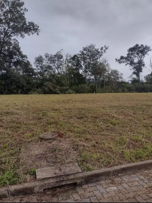Foto 2 de Terreno / Lote à venda, 364m2 em Aliança, Santa Cruz Do Sul - RS