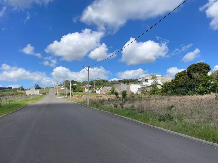 Foto 2 de Terreno / Lote à venda, 250m2 em Aliança, Santa Cruz Do Sul - RS