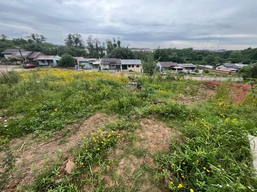 Foto 4 de Terreno / Lote à venda, 621m2 em Ana Nery, Santa Cruz Do Sul - RS