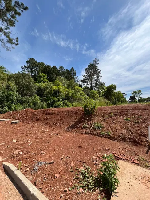 Foto 3 de Terreno / Lote à venda, 318m2 em Linha Santa Cruz, Santa Cruz Do Sul - RS