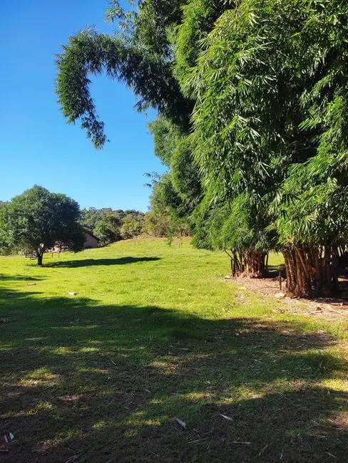 Chácara com 4 quartos à venda, 33000m2 em Santa Cruz Do Sul - RS - imagem 8 Foto 8 de Chácara com 4 quartos à venda, 33000m2 em Santa Cruz Do Sul - RS