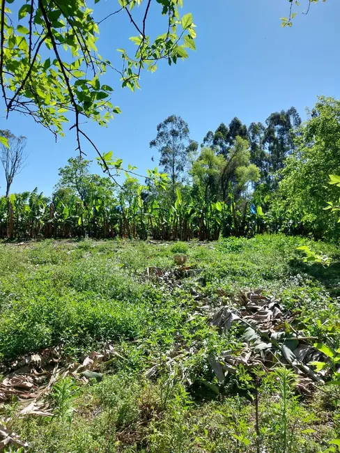 Chácara com 4 quartos à venda, 33000m2 em Santa Cruz Do Sul - RS - imagem 6 Foto 6 de Chácara com 4 quartos à venda, 33000m2 em Santa Cruz Do Sul - RS
