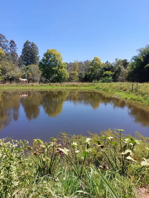 Chácara com 4 quartos à venda, 33000m2 em Santa Cruz Do Sul - RS - imagem 4 Foto 4 de Chácara com 4 quartos à venda, 33000m2 em Santa Cruz Do Sul - RS