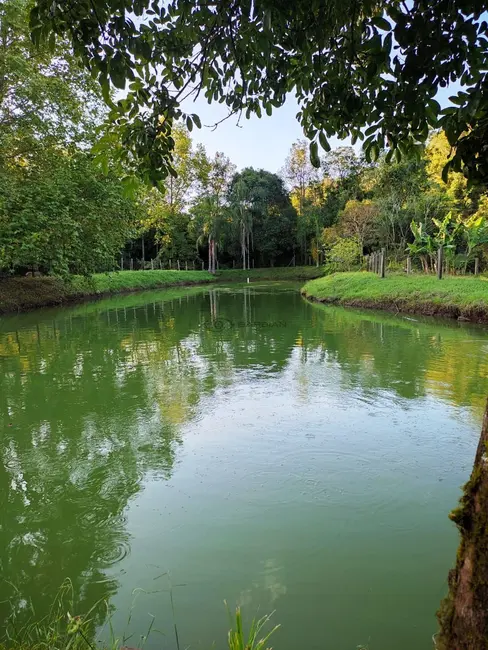 Chácara com 4 quartos à venda, 33000m2 em Santa Cruz Do Sul - RS - imagem 9 Foto 9 de Chácara com 4 quartos à venda, 33000m2 em Santa Cruz Do Sul - RS