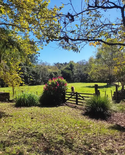 Chácara com 4 quartos à venda, 33000m2 em Santa Cruz Do Sul - RS - imagem 5 Foto 5 de Chácara com 4 quartos à venda, 33000m2 em Santa Cruz Do Sul - RS