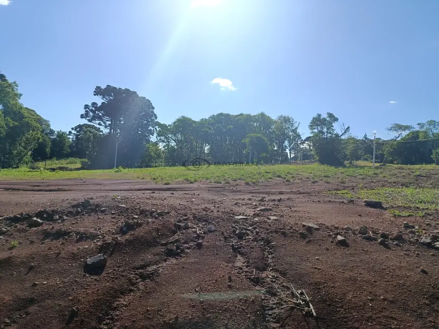 Foto 7 de Terreno / Lote à venda, 333m2 em Linha Santa Cruz, Santa Cruz Do Sul - RS
