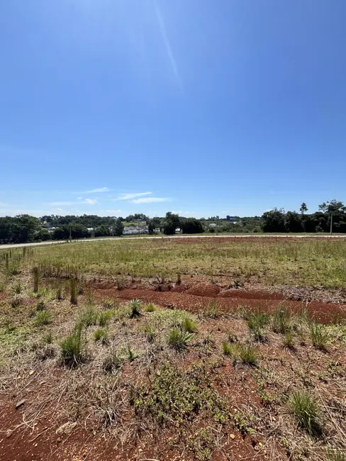Foto 1 de Terreno / Lote à venda, 329m2 em Country, Santa Cruz Do Sul - RS