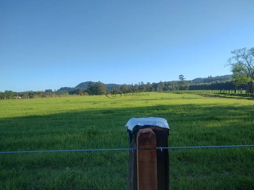 Foto 5 de Chácara com 3 quartos à venda, 100m2 em Vera Cruz - RS