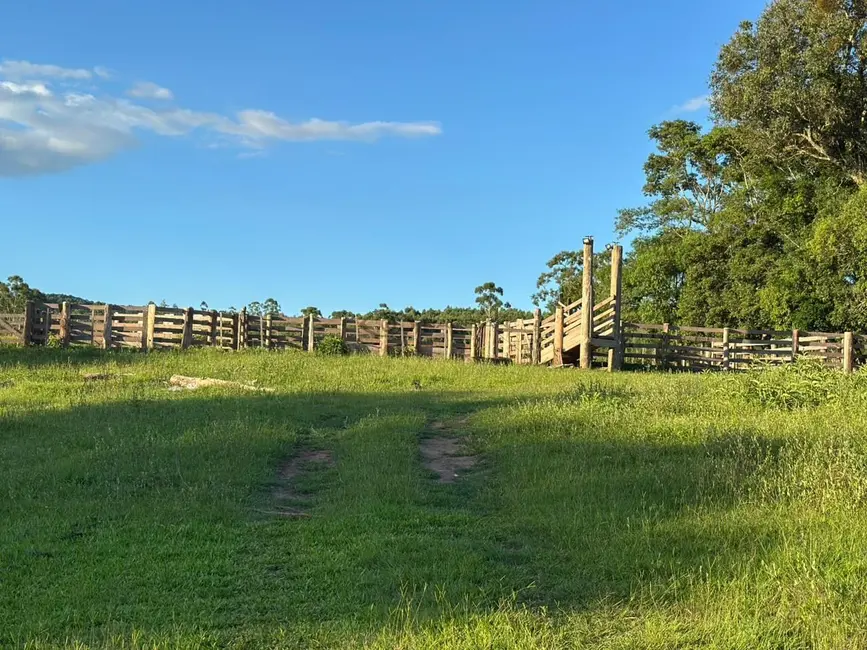 Foto 6 de Chácara com 3 quartos à venda, 100m2 em Vera Cruz - RS