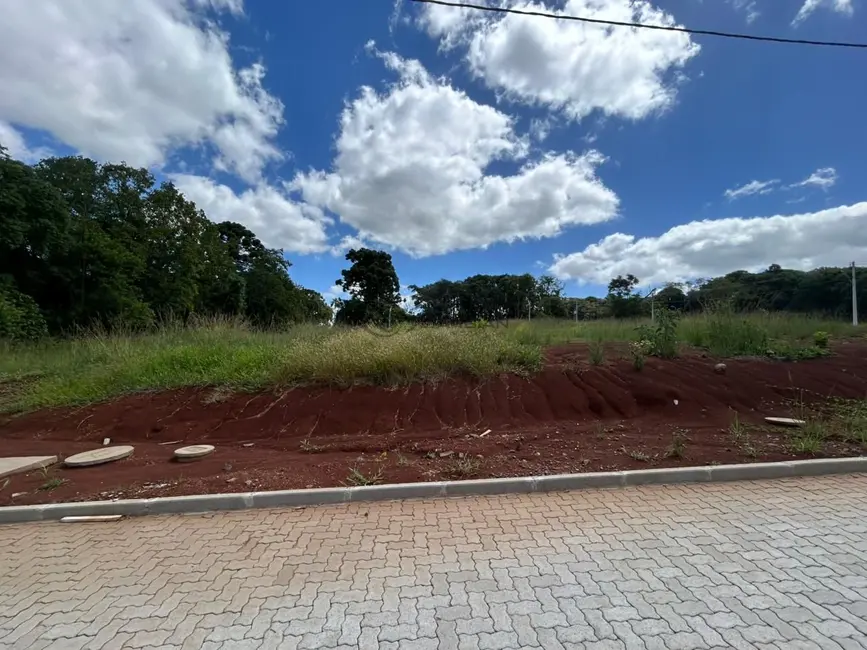 Foto 7 de Terreno / Lote à venda, 355m2 em Linha Santa Cruz, Santa Cruz Do Sul - RS