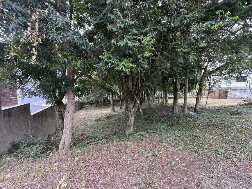 Foto 3 de Terreno / Lote à venda, 825m2 em Jardim Europa, Santa Cruz Do Sul - RS