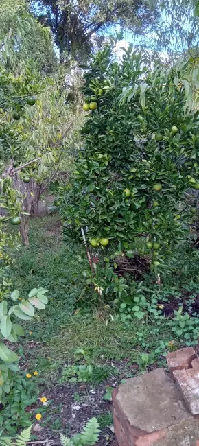 Foto 9 de Casa com 2 quartos à venda, 55m2 em Ana Nery, Santa Cruz Do Sul - RS