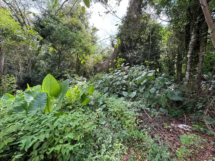 Terreno / Lote à venda, 4045m2 em Renascença, Santa Cruz Do Sul - RS - imagem 3 Foto 3 de Terreno / Lote à venda, 4045m2 em Renascença, Santa Cruz Do Sul - RS