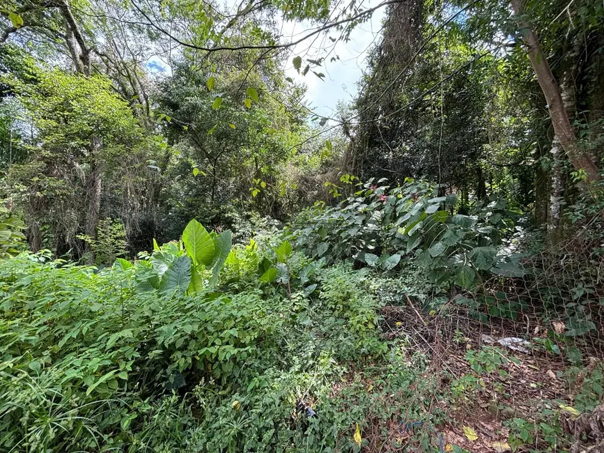Terreno / Lote à venda, 4045m2 em Renascença, Santa Cruz Do Sul - RS - imagem 1 Foto 1 de Terreno / Lote à venda, 4045m2 em Renascença, Santa Cruz Do Sul - RS