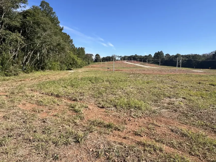 Foto 3 de Terreno / Lote à venda, 360m2 em Linha Santa Cruz, Santa Cruz Do Sul - RS