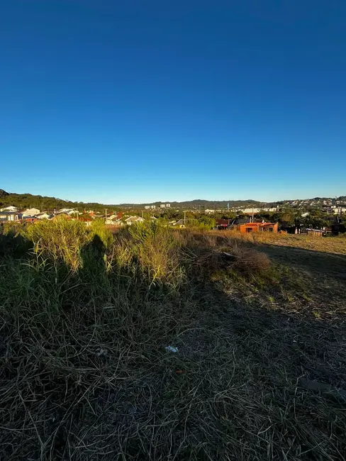 Foto 3 de Terreno / Lote à venda, 360m2 em Arroio Grande, Santa Cruz Do Sul - RS