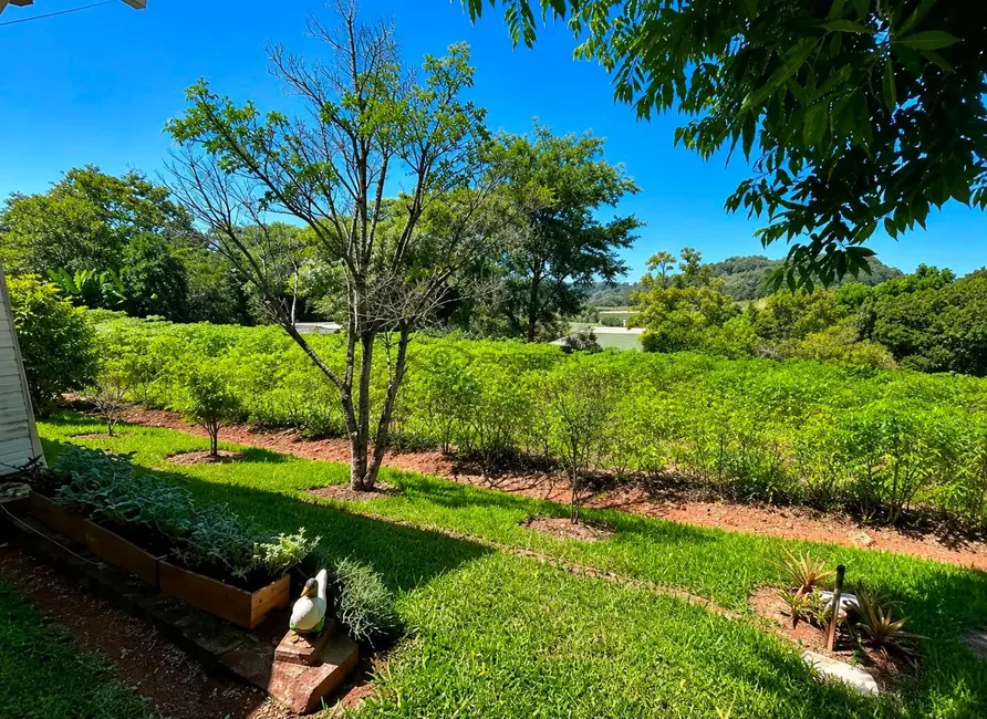 Foto 6 de Chácara com 2 quartos à venda, 5000m2 em Arroio Grande, Santa Cruz Do Sul - RS