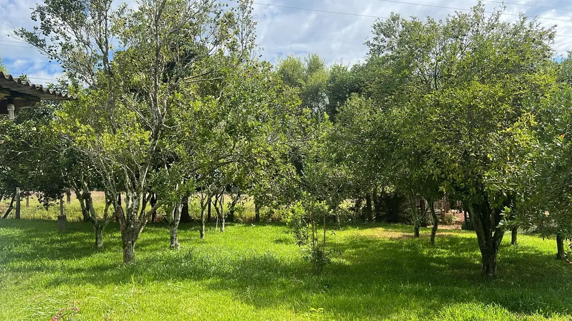Foto 5 de Chácara com 2 quartos à venda, 30000m2 em Vera Cruz - RS