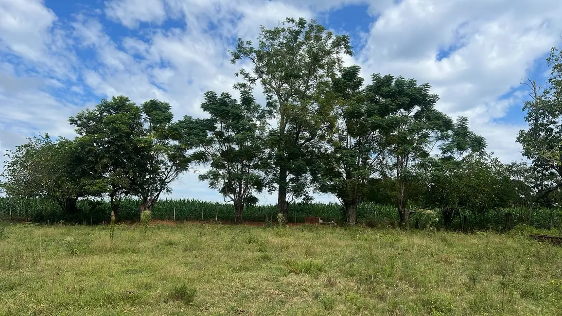 Foto 7 de Chácara com 2 quartos à venda, 30000m2 em Vera Cruz - RS