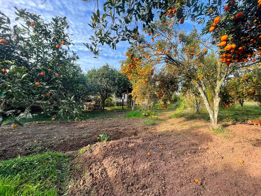 Foto 7 de Chácara com 2 quartos à venda, 75m2 em Santa Cruz Do Sul - RS