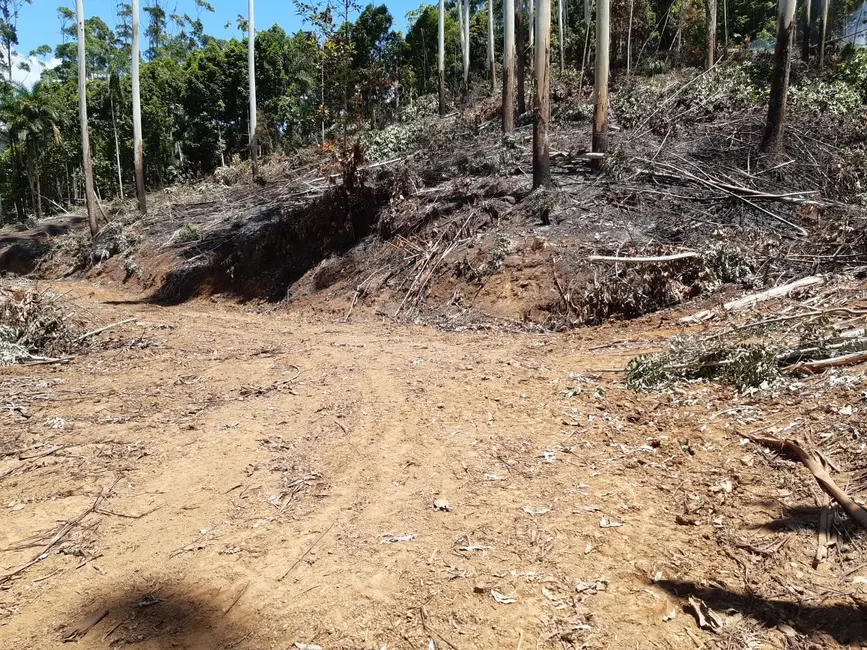 Terreno / Lote à venda, 93115m2 em Centro, Benedito Novo - SC - imagem 3 Foto 3 de Terreno / Lote à venda, 93115m2 em Centro, Benedito Novo - SC