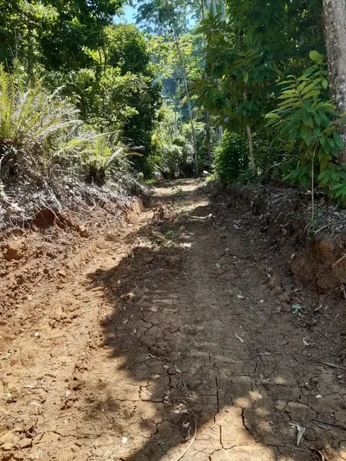 Terreno / Lote à venda, 93115m2 em Centro, Benedito Novo - SC - imagem 7 Foto 7 de Terreno / Lote à venda, 93115m2 em Centro, Benedito Novo - SC