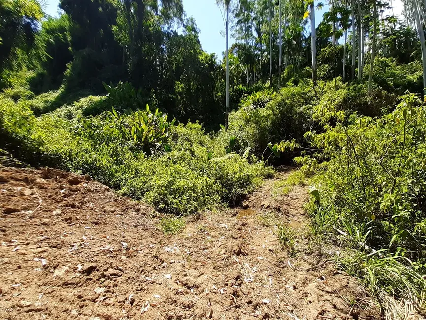 Terreno / Lote à venda, 93115m2 em Centro, Benedito Novo - SC - imagem 1 Foto 1 de Terreno / Lote à venda, 93115m2 em Centro, Benedito Novo - SC