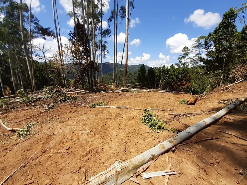 Terreno / Lote à venda, 93115m2 em Centro, Benedito Novo - SC - imagem 6 Foto 6 de Terreno / Lote à venda, 93115m2 em Centro, Benedito Novo - SC