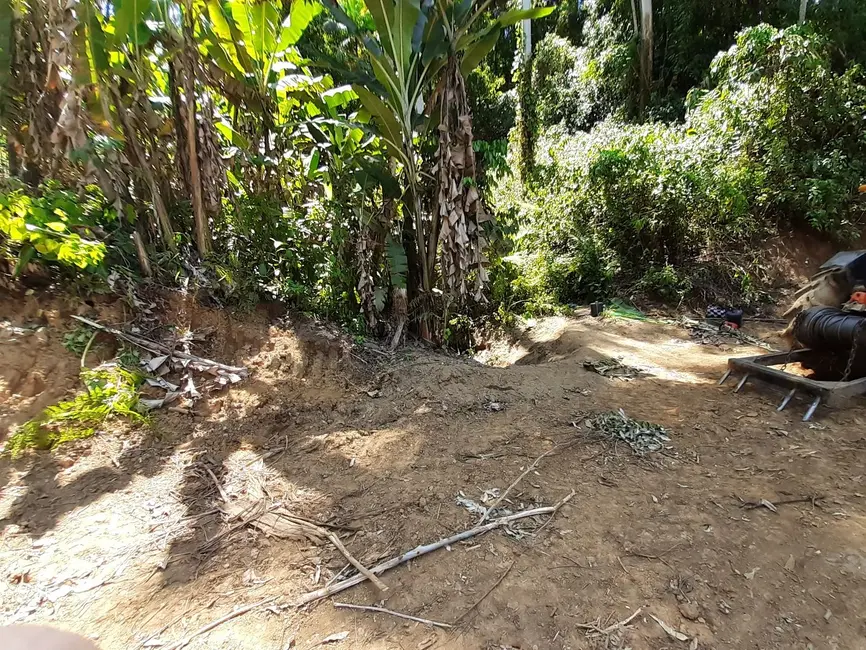 Terreno / Lote à venda, 93115m2 em Centro, Benedito Novo - SC - imagem 2 Foto 2 de Terreno / Lote à venda, 93115m2 em Centro, Benedito Novo - SC
