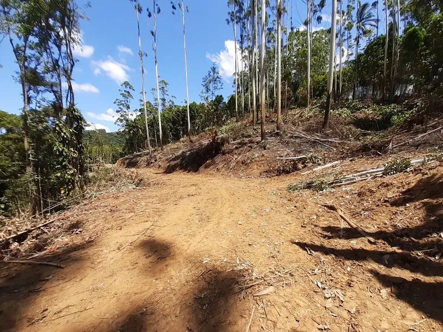 Terreno / Lote à venda, 93115m2 em Centro, Benedito Novo - SC - imagem 4 Foto 4 de Terreno / Lote à venda, 93115m2 em Centro, Benedito Novo - SC