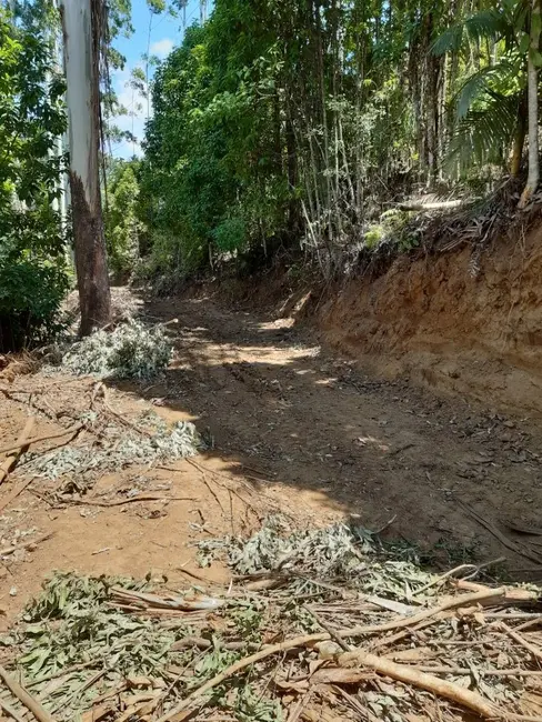 Terreno / Lote à venda, 93115m2 em Centro, Benedito Novo - SC - imagem 9 Foto 9 de Terreno / Lote à venda, 93115m2 em Centro, Benedito Novo - SC