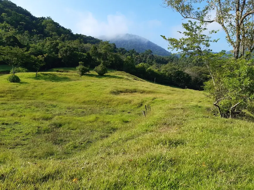 Terreno / Lote à venda, 99095m2 em Indaial - SC - imagem 4 Foto 4 de Terreno / Lote à venda, 99095m2 em Indaial - SC