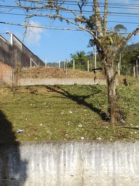Foto 2 de Terreno / Lote à venda, 426m2 em Centro, Pomerode - SC