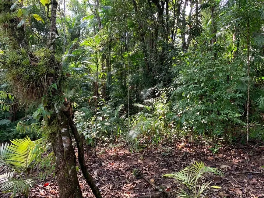 Terreno / Lote à venda, 5246m2 em Pomerode - SC - imagem 5 Foto 5 de Terreno / Lote à venda, 5246m2 em Pomerode - SC