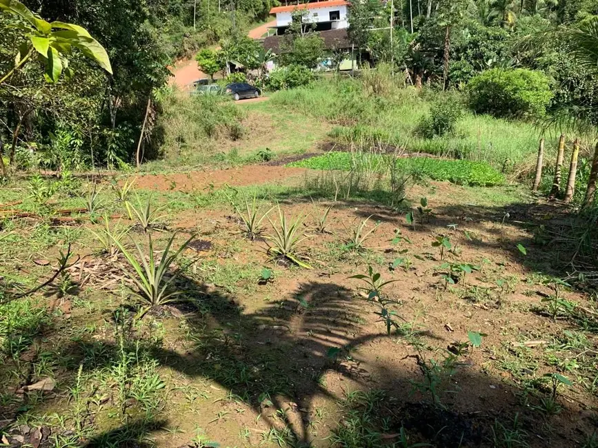 Terreno / Lote à venda, 5246m2 em Pomerode - SC - imagem 9 Foto 9 de Terreno / Lote à venda, 5246m2 em Pomerode - SC