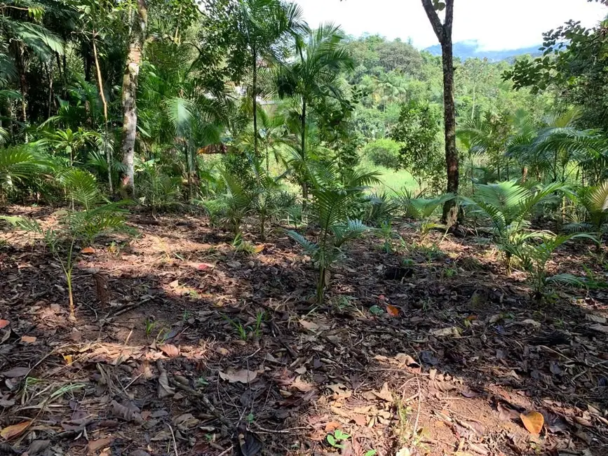 Terreno / Lote à venda, 5246m2 em Pomerode - SC - imagem 6 Foto 6 de Terreno / Lote à venda, 5246m2 em Pomerode - SC