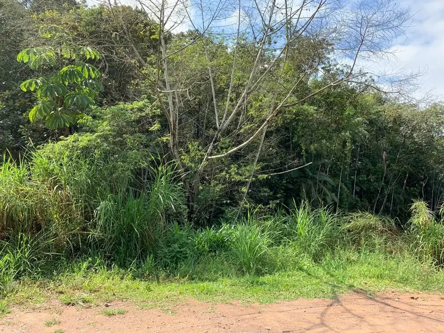 Terreno / Lote à venda, 5246m2 em Pomerode - SC - imagem 7 Foto 7 de Terreno / Lote à venda, 5246m2 em Pomerode - SC