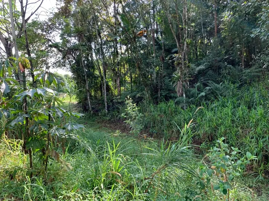 Terreno / Lote à venda, 5246m2 em Pomerode - SC - imagem 3 Foto 3 de Terreno / Lote à venda, 5246m2 em Pomerode - SC