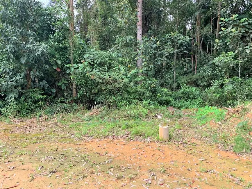 Foto 2 de Terreno / Lote à venda, 9700m2 em Centro, Pomerode - SC