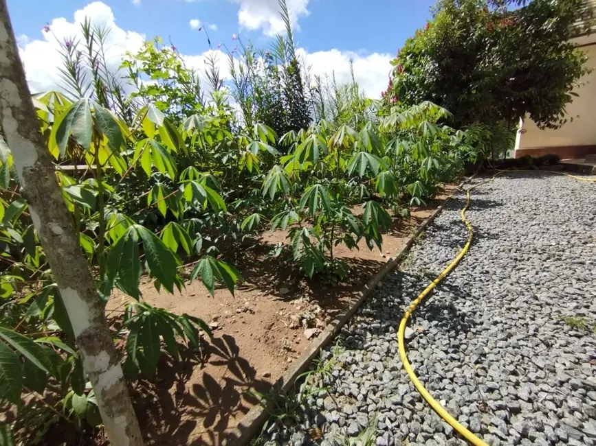 Terreno / Lote à venda, 53380m2 em Centro, Pomerode - SC - imagem 9 Foto 9 de Terreno / Lote à venda, 53380m2 em Centro, Pomerode - SC