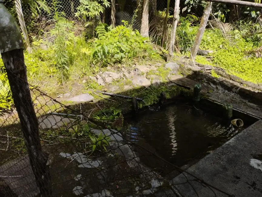 Terreno / Lote à venda, 53380m2 em Centro, Pomerode - SC - imagem 6 Foto 6 de Terreno / Lote à venda, 53380m2 em Centro, Pomerode - SC