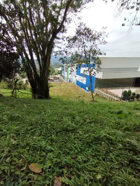 Terreno / Lote à venda, 53380m2 em Centro, Pomerode - SC - imagem 5 Foto 5 de Terreno / Lote à venda, 53380m2 em Centro, Pomerode - SC