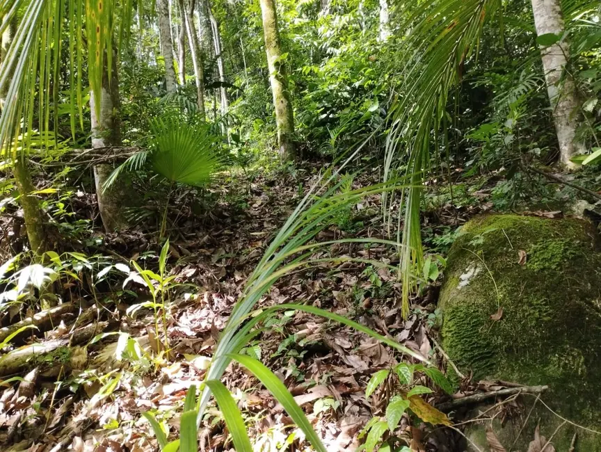 Terreno / Lote à venda, 53380m2 em Centro, Pomerode - SC - imagem 3 Foto 3 de Terreno / Lote à venda, 53380m2 em Centro, Pomerode - SC