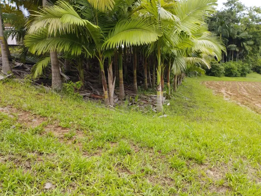 Terreno / Lote à venda, 2947m2 em Pomerode - SC - imagem 4 Foto 4 de Terreno / Lote à venda, 2947m2 em Pomerode - SC