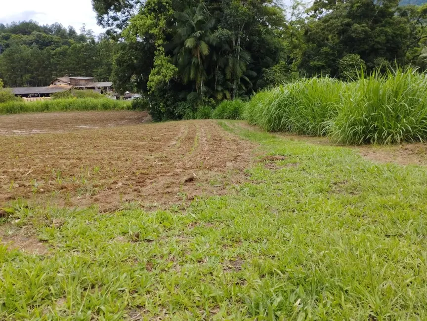 Terreno / Lote à venda, 2947m2 em Pomerode - SC - imagem 5 Foto 5 de Terreno / Lote à venda, 2947m2 em Pomerode - SC