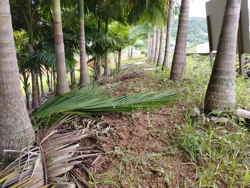 Terreno / Lote à venda, 2947m2 em Pomerode - SC - imagem 3 Foto 3 de Terreno / Lote à venda, 2947m2 em Pomerode - SC