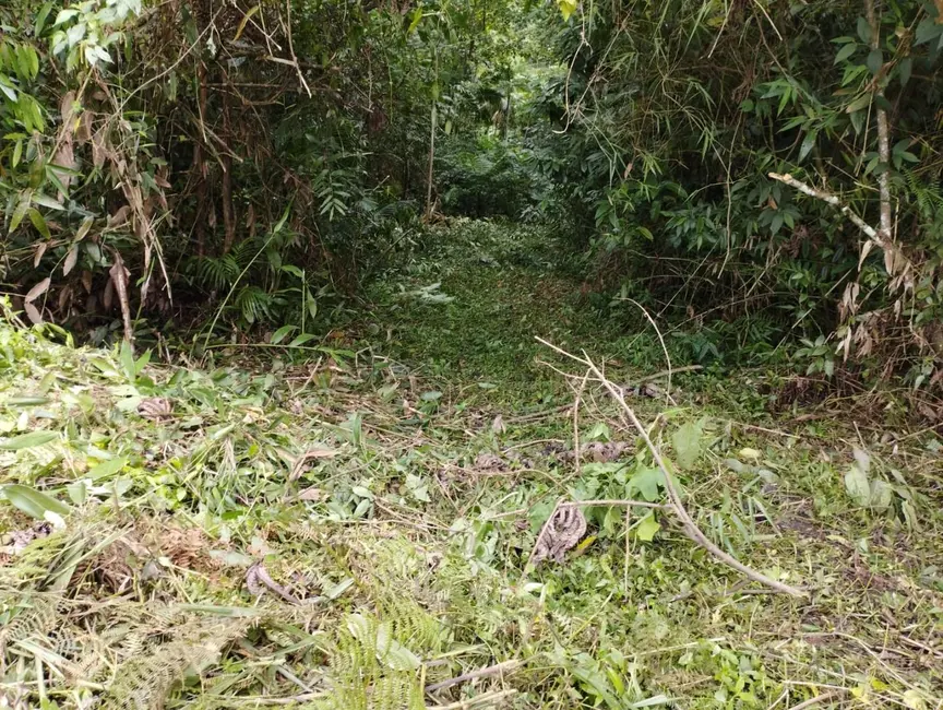 Terreno / Lote à venda, 19362m2 em Centro, Pomerode - SC - imagem 8 Foto 8 de Terreno / Lote à venda, 19362m2 em Centro, Pomerode - SC